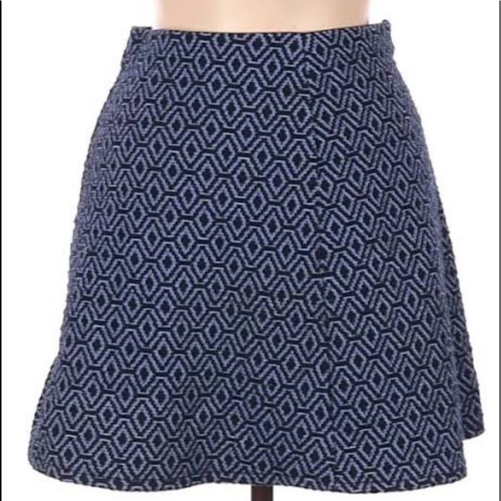 NWOT ZARA TRAFALUC Skirt.